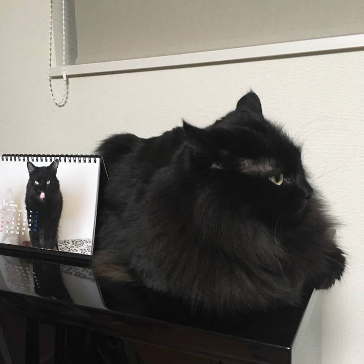 35daf506 35cb 4d7c 9546 dd36b78f8d1e 1546779802908