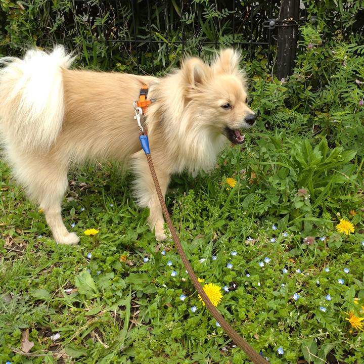 35db42fd 8363 43f4 a4f9 3bb79760981f 1744516060429