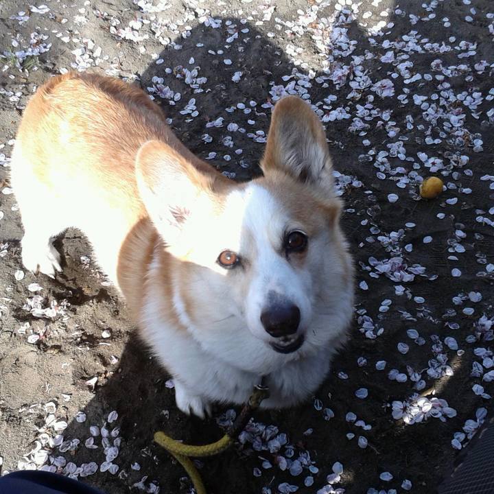 35db44dd 1fdc 4acc a7b8 4c257ddef02c 1649293978225