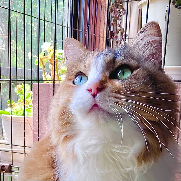 35db8aae ceb1 4028 8415 eed0ba99ac35 1683159601167