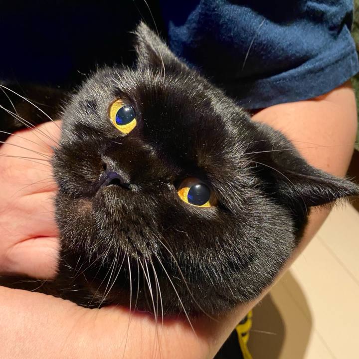 35dbaf40 3f38 41e4 9dc8 68e3311b3467 1727531458049