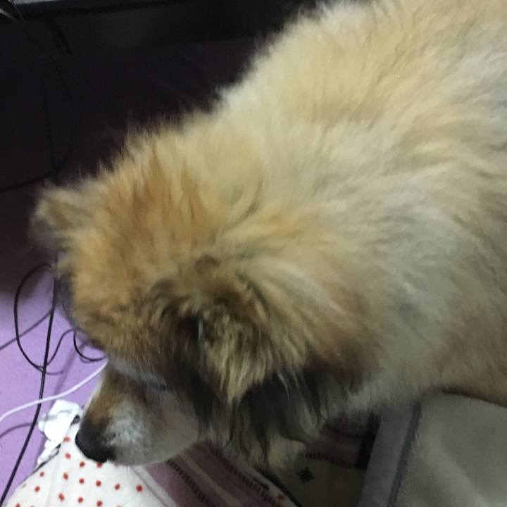 35dc3759 5b45 40fc 95d6 666efbb1a3a3 1593091741769