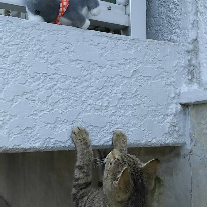 35dc484a 9821 4269 ab46 03de64980101 1529809373690