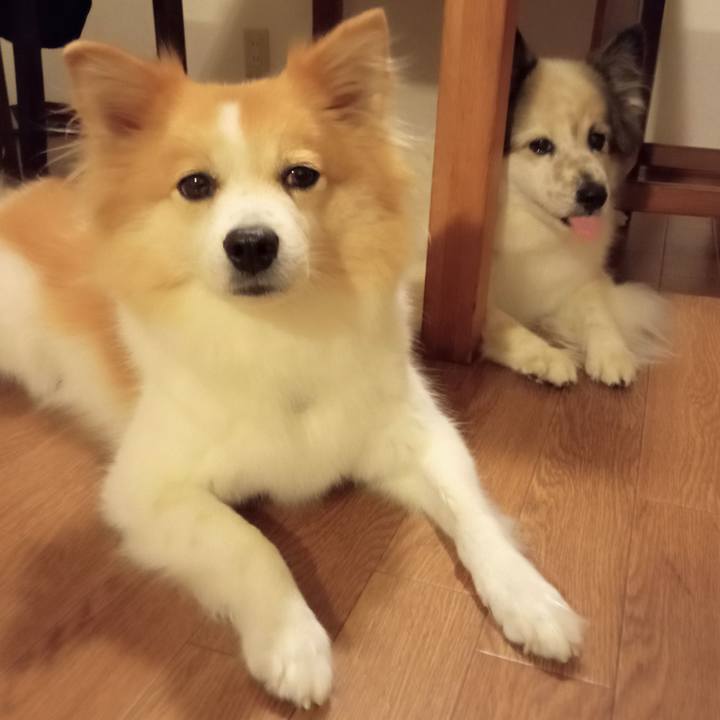 35dc6787 b0ca 45d5 b2df ef3c139ca295 1662118791461