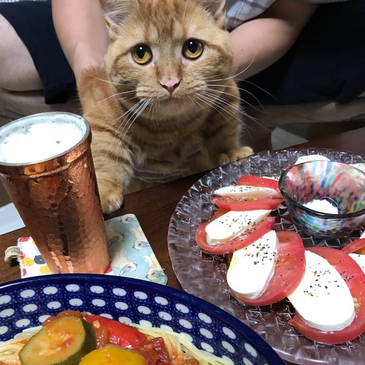 35dc8283 28d4 46aa aea9 20d28501010f 1529929127543