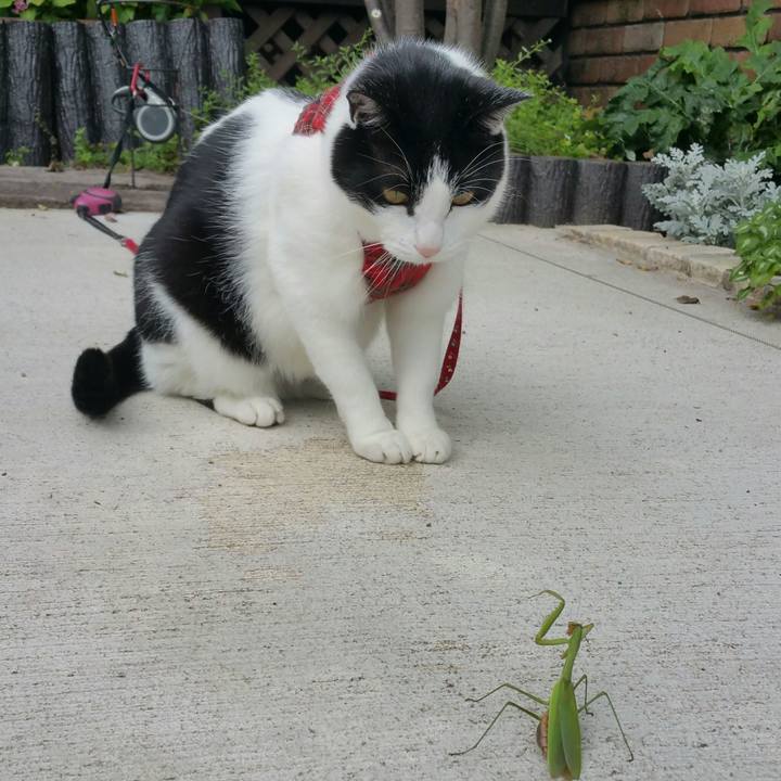 35dc8657 2fe5 408f acb1 f97a06d64b80 1539998348445