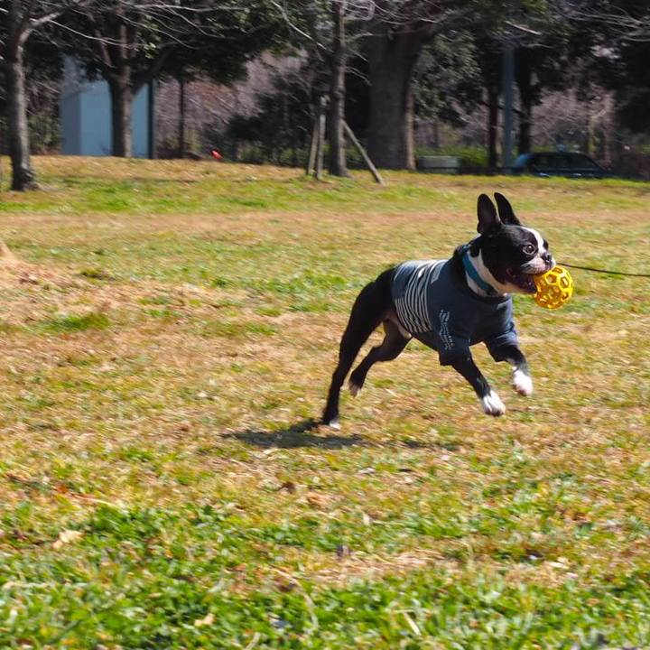 35dcc039 cacb 452d 8bb8 dcd91edae9b5 1550921439992