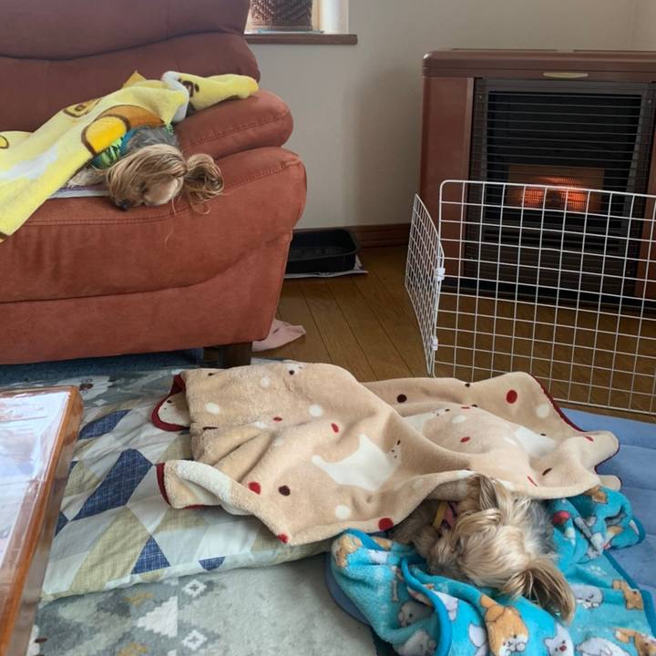 35dcc3d9 e188 4090 9d00 9132003ee4d4 1611741750640