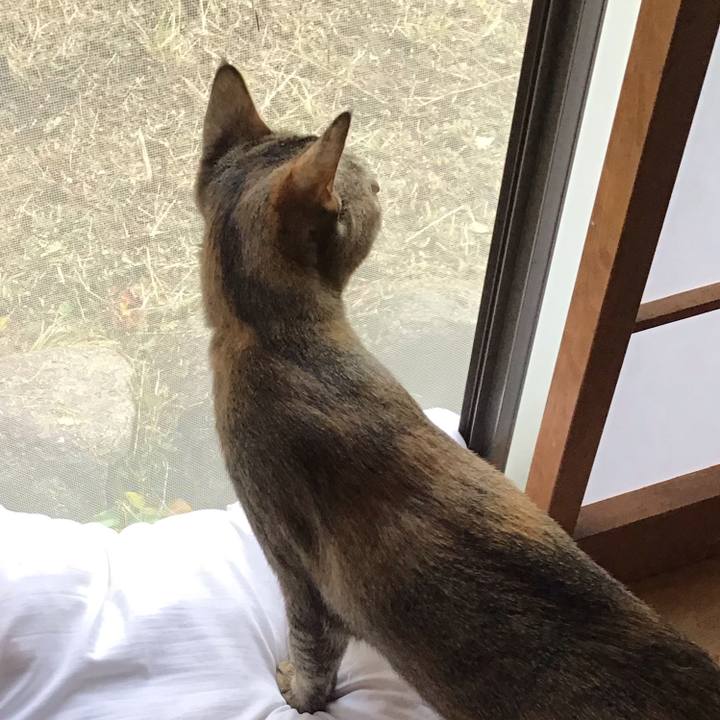 35dd9bf1 9c9f 4174 8770 668505246ce3 1574570661091