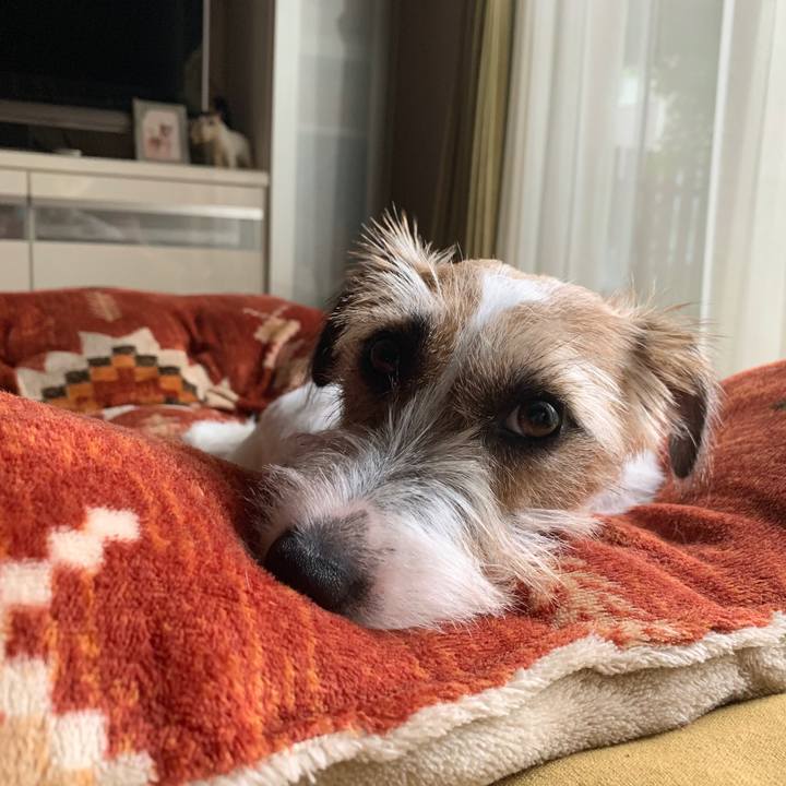 35dda56e 5faa 4d06 92dd b443d2a13a6b 1595918259368