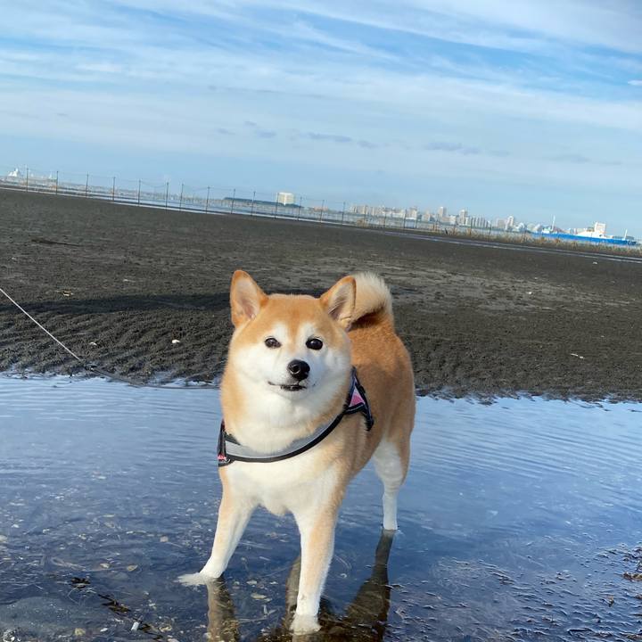 35ddbb15 1c72 4725 92d7 93bbc7ef4e7d 1657324038281