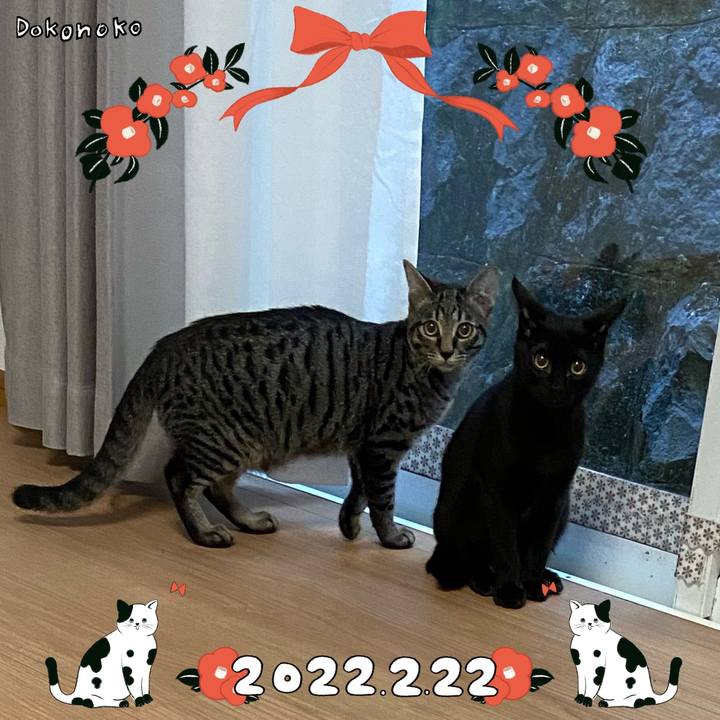 35ddbbed 9c4a 4ea4 bf23 4f559e0eb103 1645541382856