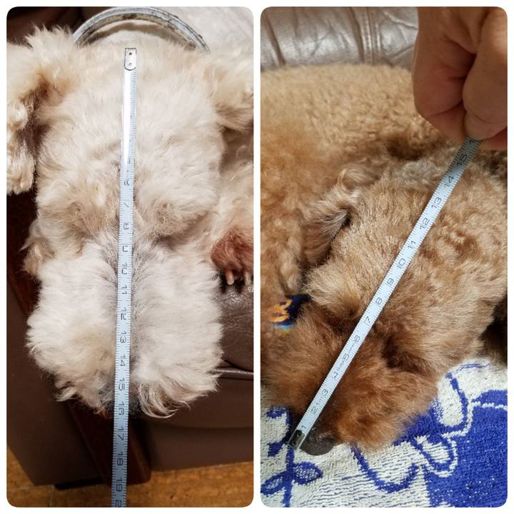 35dddab1 9850 4ac8 acd6 58798f542b24 1601379967810