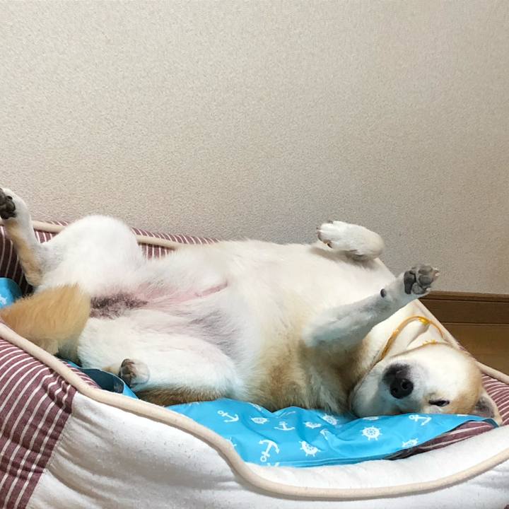 35dddc0c c7d2 4225 aa9b 17cc8ab80841 1569475245756