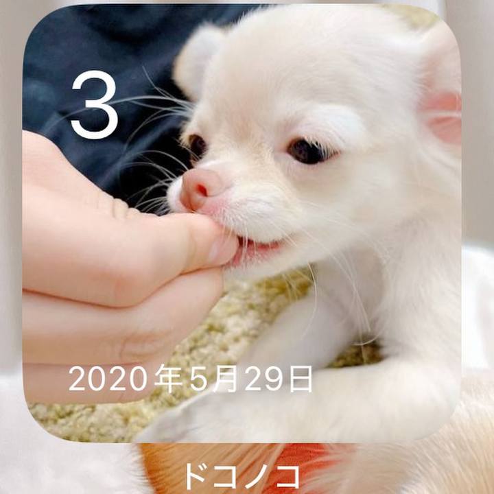 35dde261 83c7 43e7 a5a2 394fb780ab6b 1748939002183