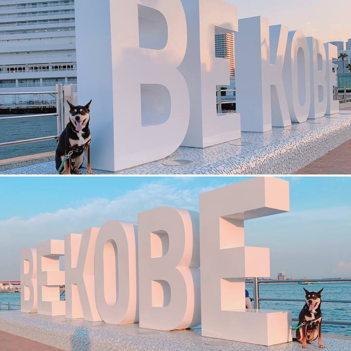 35de7c1c bec3 45f9 80dc 63d881294b69 1558003866834