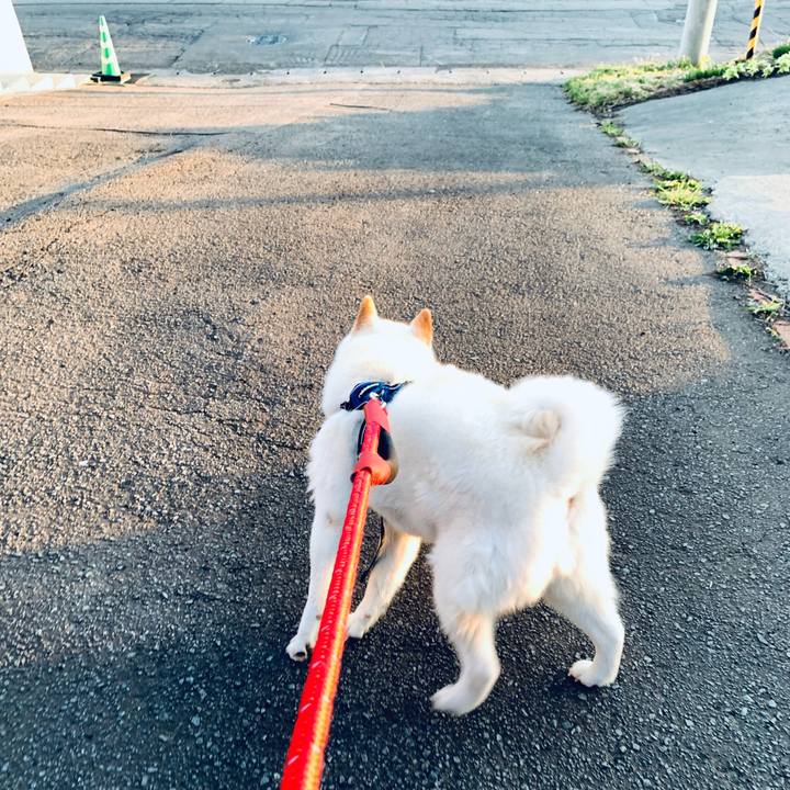 35de8bd1 cb1b 4ce3 8543 1a0eb2417dd3 1651094039373