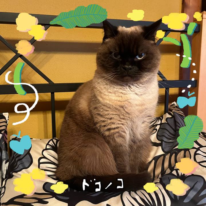 35deb38d e620 4049 b949 b51f0366df2e 1744410708794