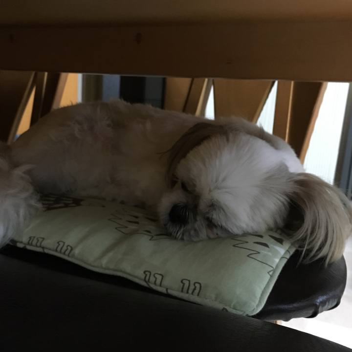 35dec157 b374 4c12 8ae6 6d5d14a67bae 1539158226013