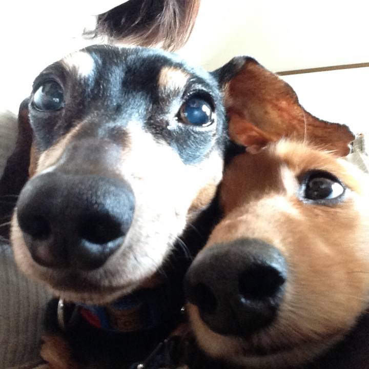 35ded819 6c9c 4392 afd2 3419144f45f9 1557665300436