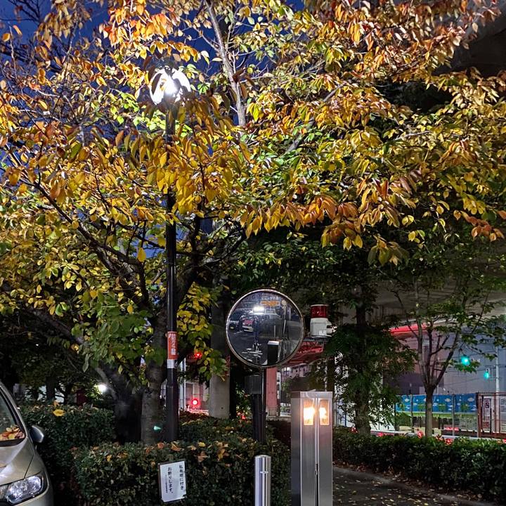 35dedc4b 83f1 4ddf 87e1 290c09f25b8b 1605738687699