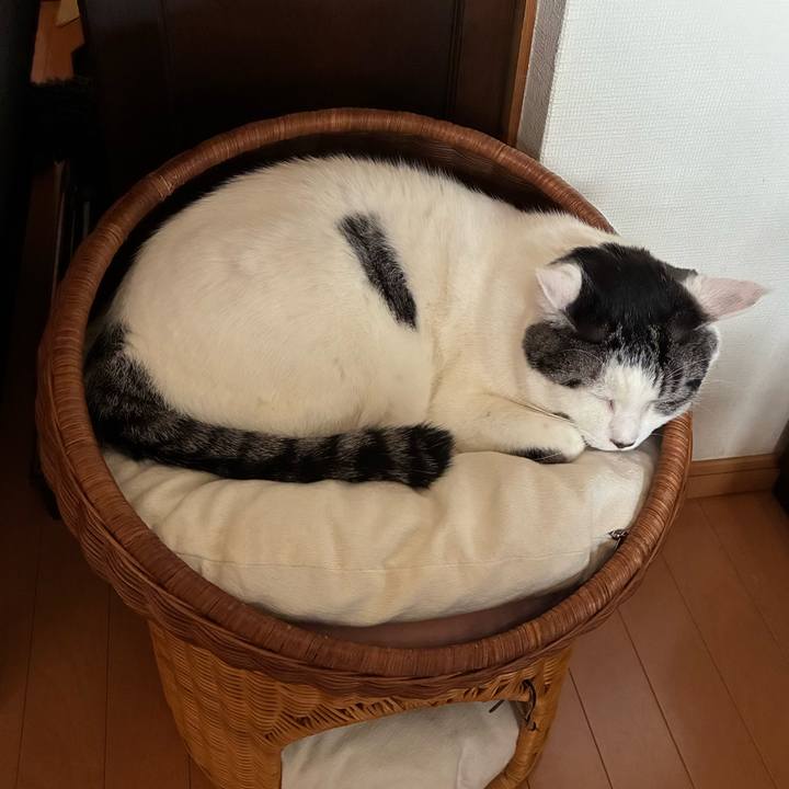 35df2b11 bd9b 4c2e a977 5d6bbc2dfe6d 1763160833494