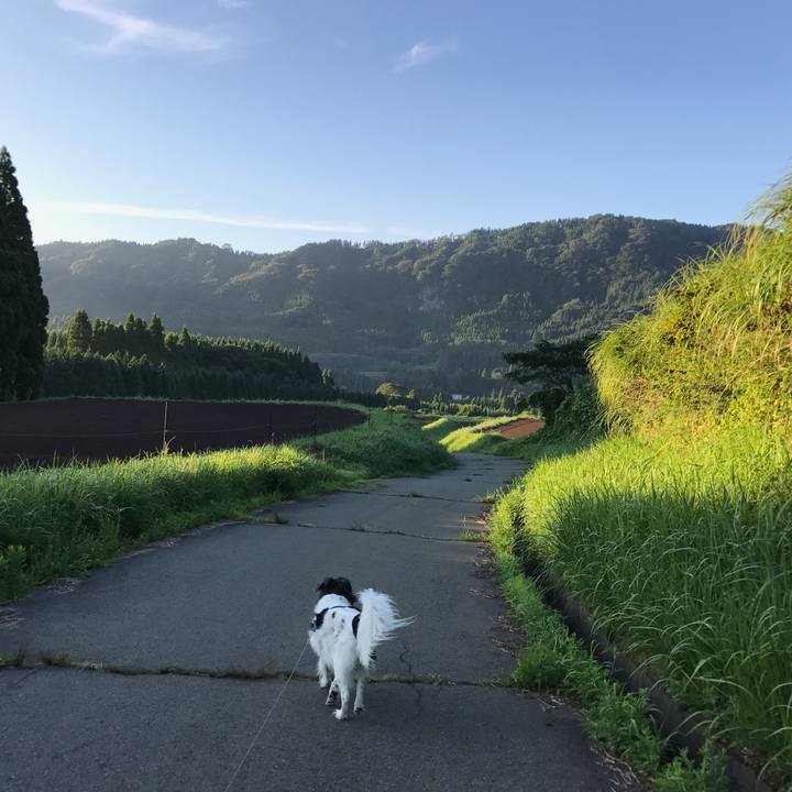 35df2e42 8a52 4143 baa9 bc1f7350c12f 1534766036250