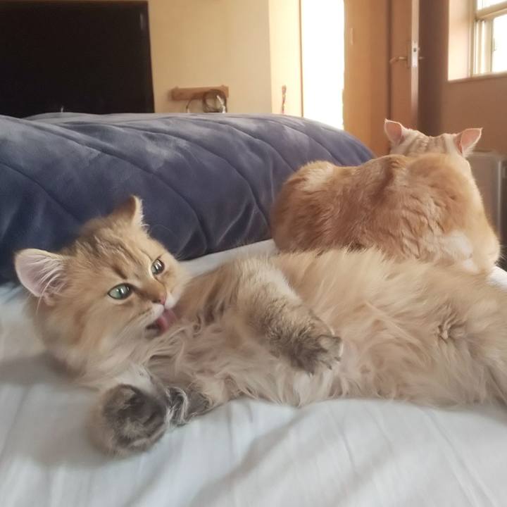 35df4266 af21 4435 8cd2 32b652620bac 1557467856825