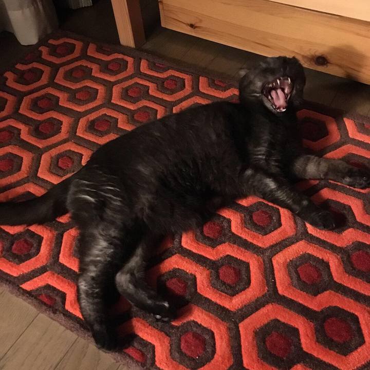 35df4d09 2500 4b12 b78e d67e12ea36d0 1544418344214