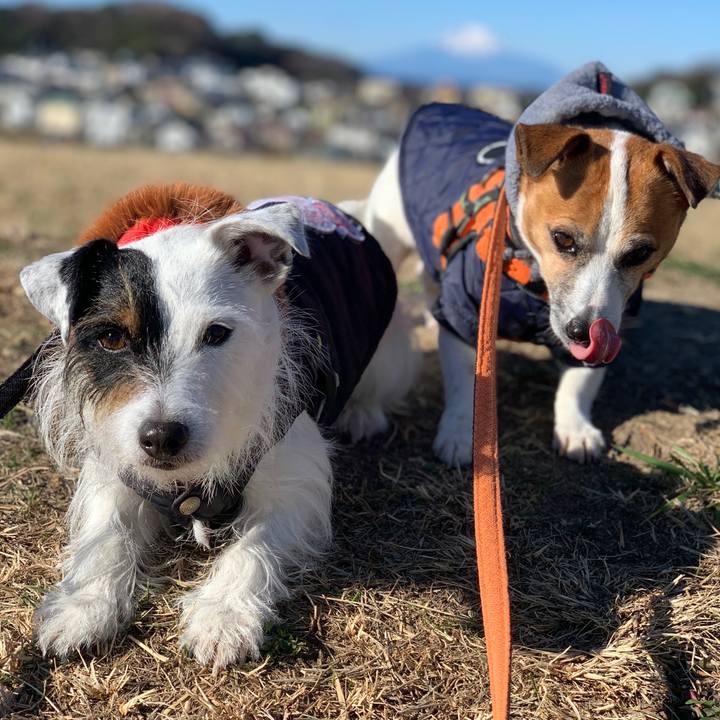 35df54a1 8851 419c bfa8 d404ce067238 1609382821838