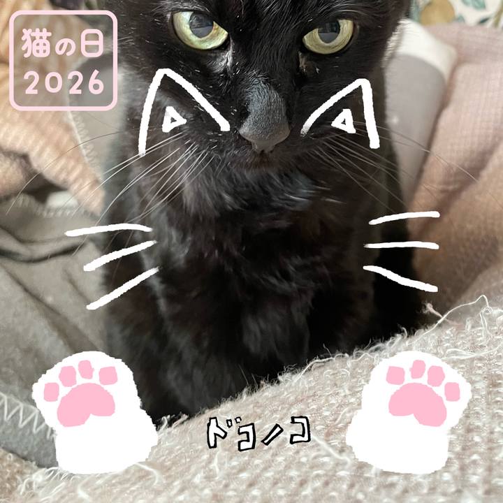 35df6618 b29b 40af 9df8 8bf3388f689a 1771713723912