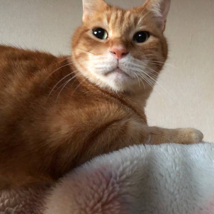 35df6c3d c012 4bb6 a9b7 3c1a7762c050 1728507112575