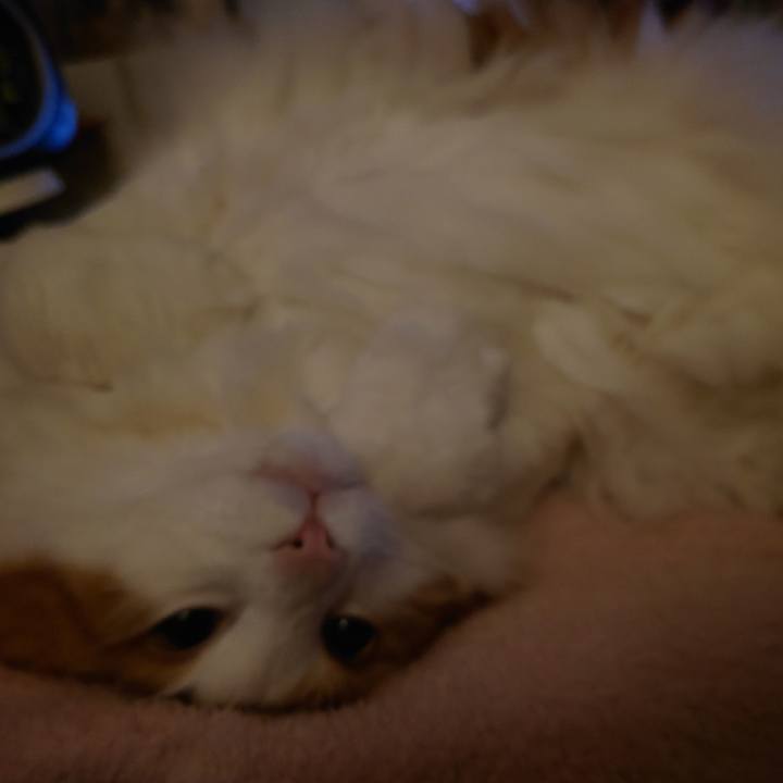 35df88c2 5564 480c 8e0d ae233bbc184a 1638713902849