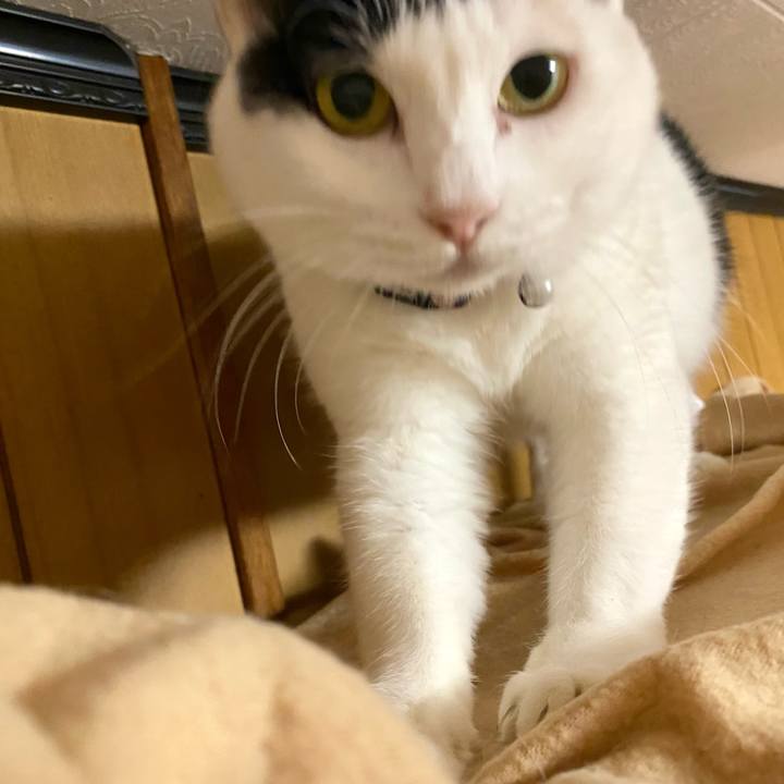 35df8caa 12d5 4f7f 9869 9b0a433fc124 1666046178083