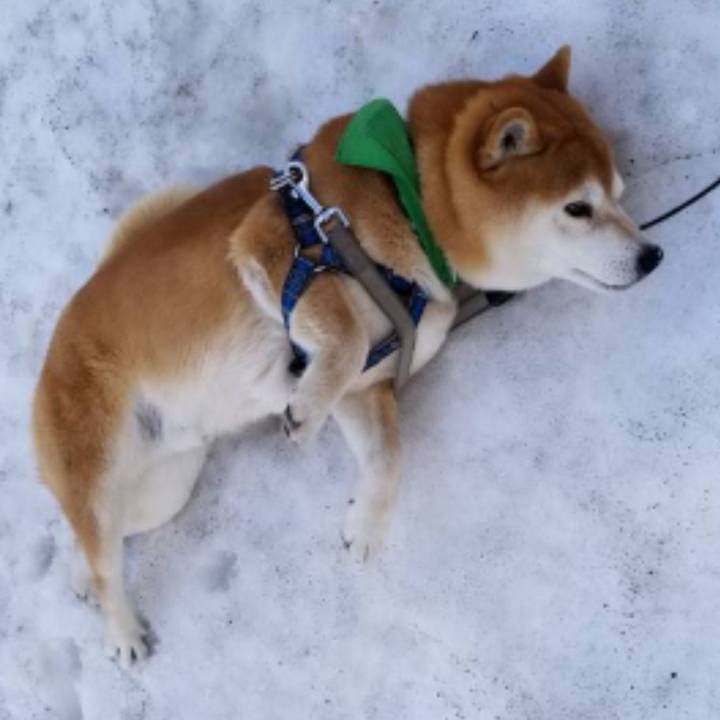 35dfa6d7 9040 4e3e b0d6 fc55a3fae885 1553152797587