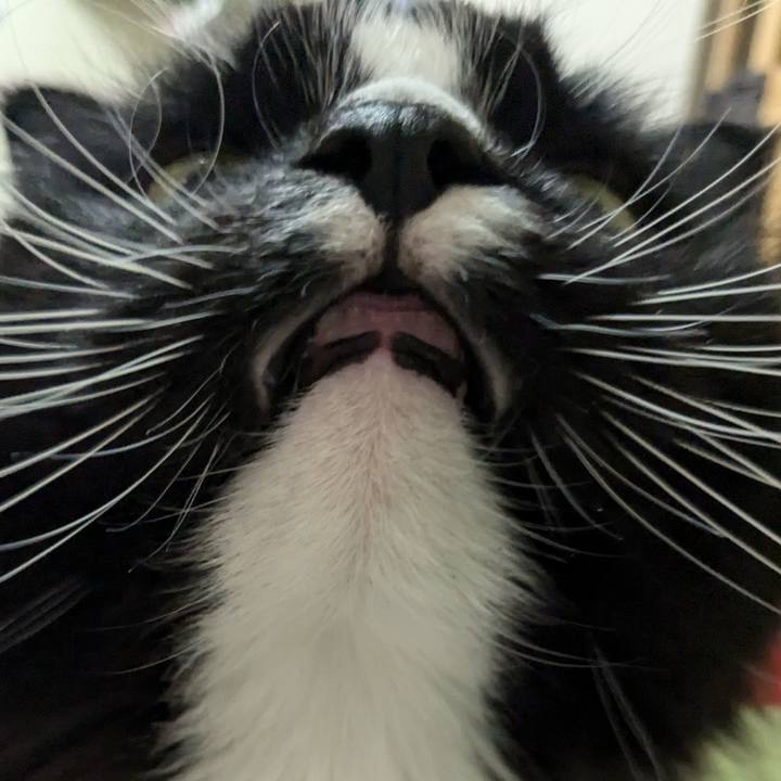 35dfbeff 7ab7 4e8a 855e 13b1b5900a1f 1736406172128