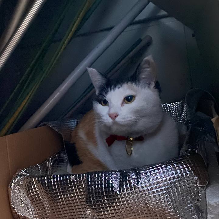 35dfd7c0 07b9 4092 8801 8b9030b76311 1639952495103