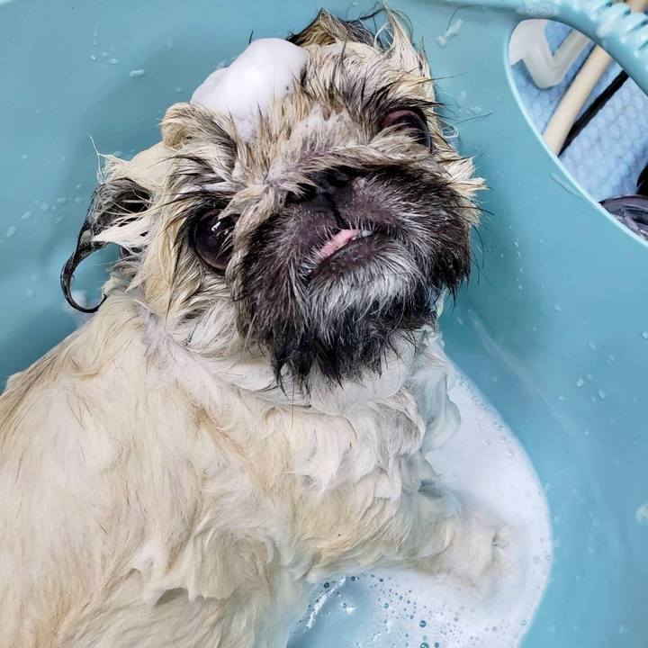 35e00ecf 5173 4ade b845 57675d34b2cc 1772846016476