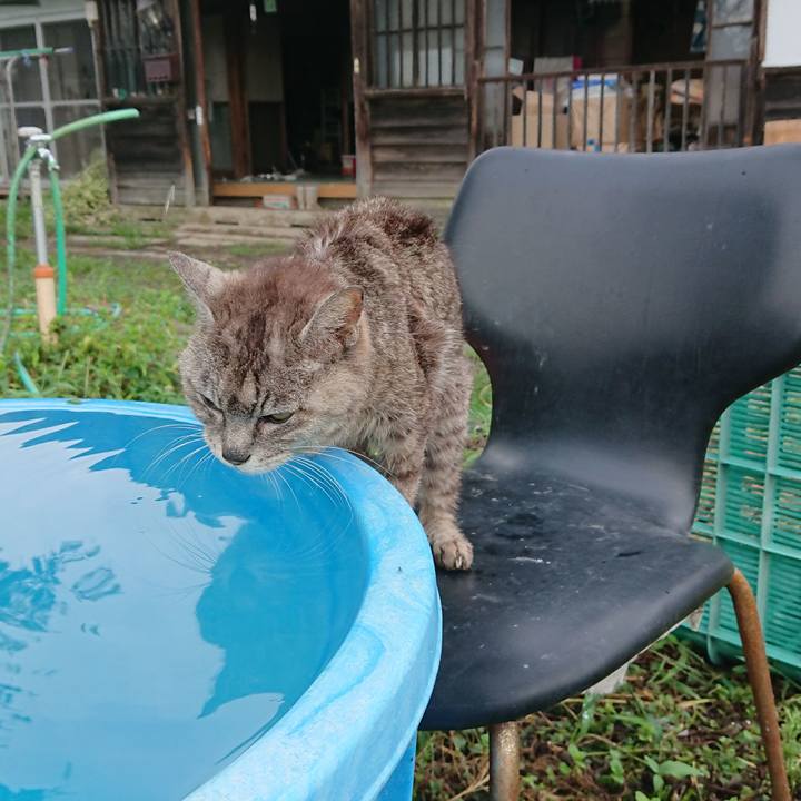 35e0140e 819f 4bfb 872c 2024f28583f4 1598910396426