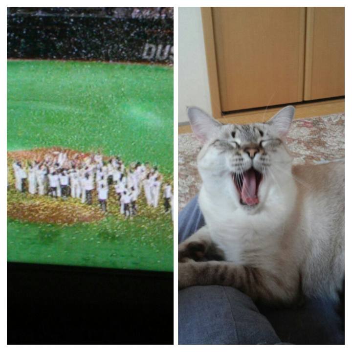 35e02043 82a1 4de2 ba1f 8c704f3e4fca 1509807108113