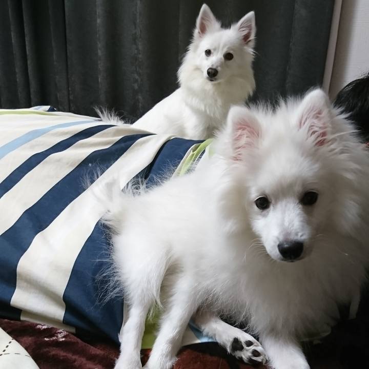 35e02c99 57af 4993 a085 8ed0473d23f8 1553750766685