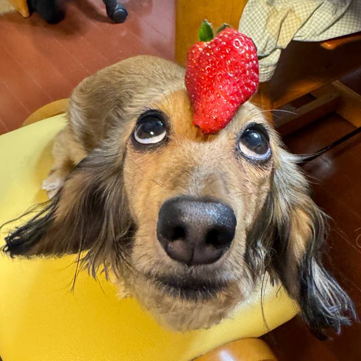 35e03e01 ca0f 4a84 8b33 eb5d1e93c952 1715771416875