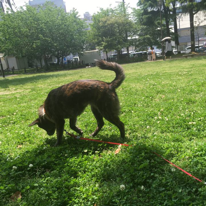 35e090ba c8a3 4f80 ab04 d4da4f0a1ace 1558078671272