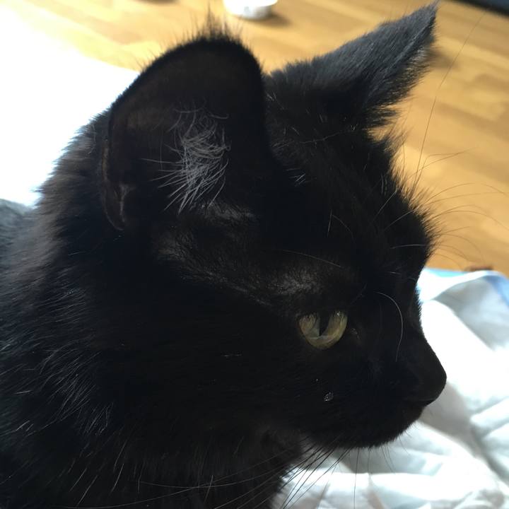 35e0b3b9 a328 4d69 99c1 c419595798ce 1543886170870