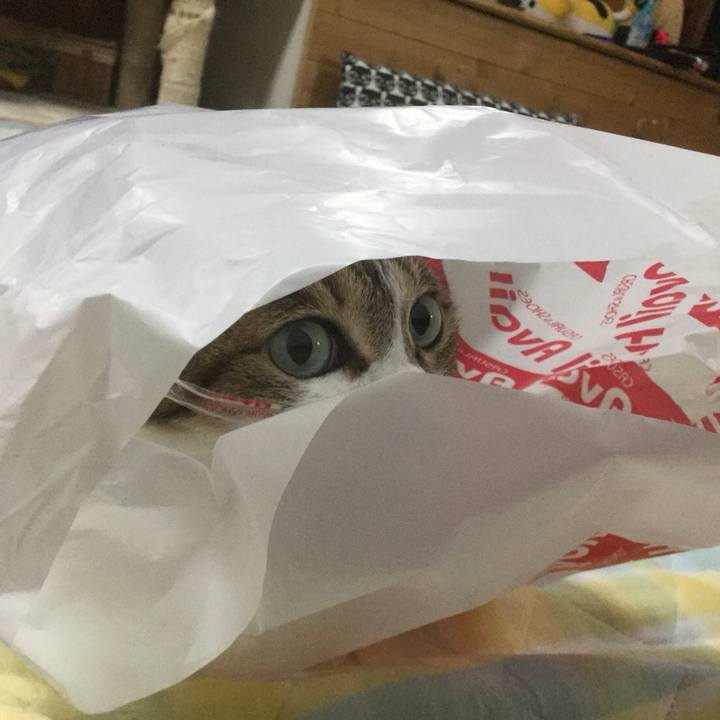 35e0b83c 2f73 44ea a0d8 9039de90a641 1531060389689