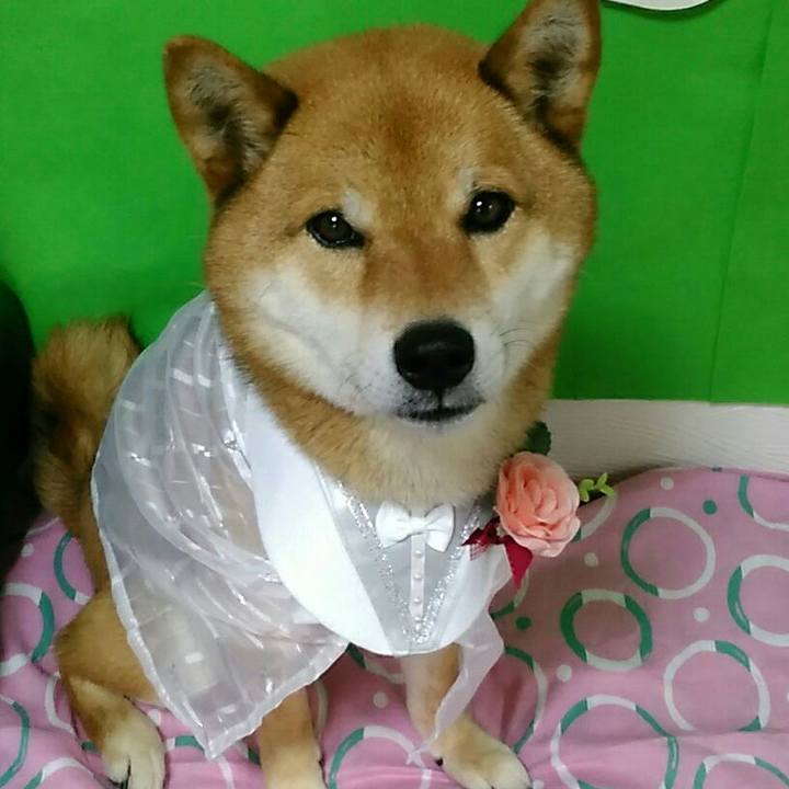 35e0d234 0f58 40d9 a936 d7dcf8507044 1527503533651