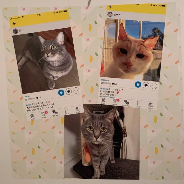 35e10b9b 5b48 4414 ba83 8430d8d6f18c 1638561795770