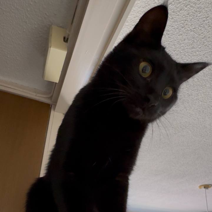 35e11251 8c03 448a aabc dfe4d9c64bb0 1745890104178