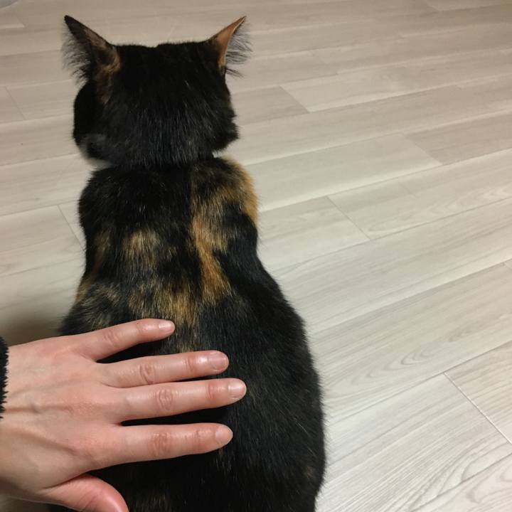 35e11c6f 1b8f 4574 bb05 40a0b7c96d21 1513514371677