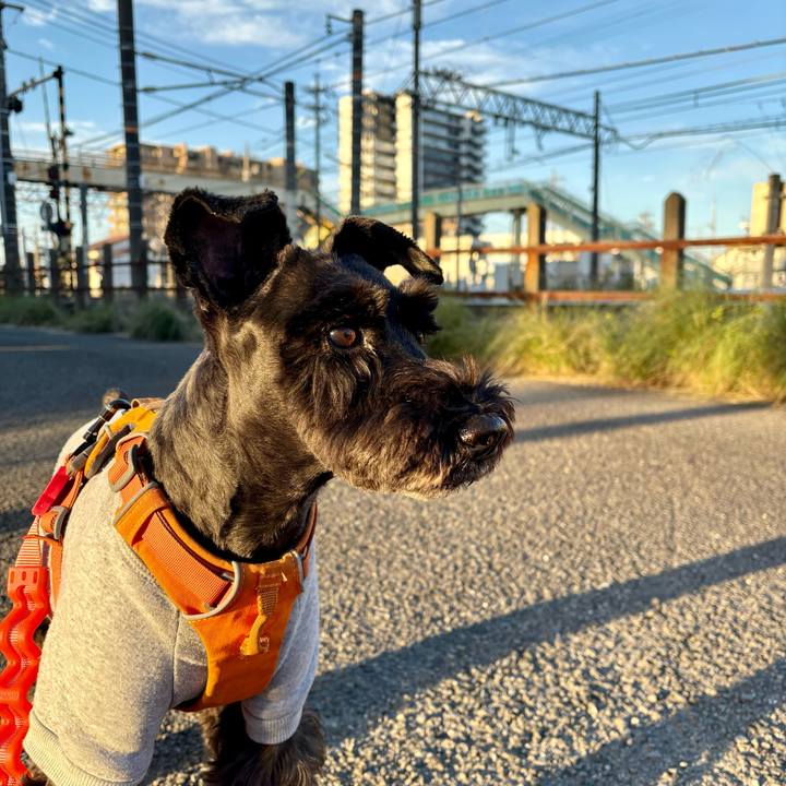 35e15bc4 3397 4d1d afb1 04ec518d5a8a 1763161310623